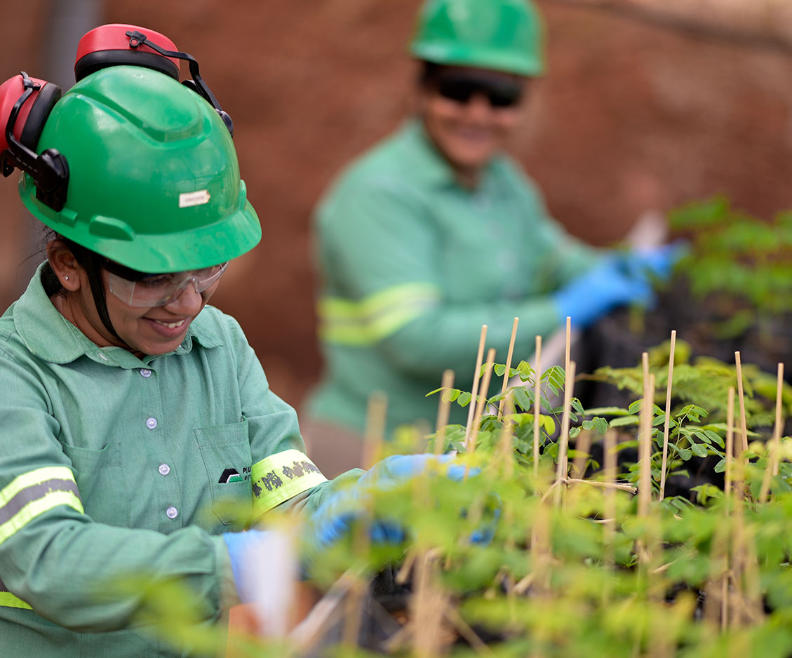 Sustainability